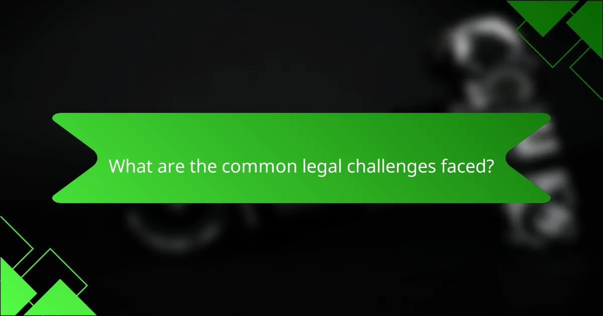 What are the common legal challenges faced?