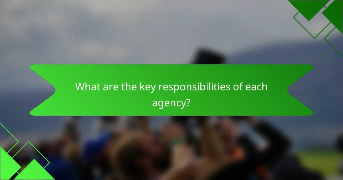 What are the key responsibilities of each agency?